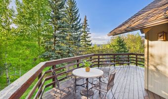593 Meadowood Dr, Aspen, CO 81611