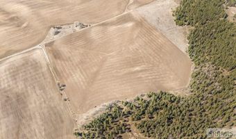 E 700 N, Ashton, ID 83420