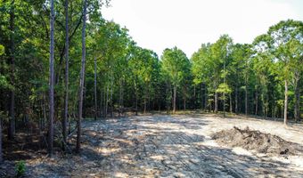 0 Backway Rd, Lincolnton, GA 30817
