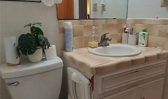 1319 Sago Palm St, Alamo, TX 78516