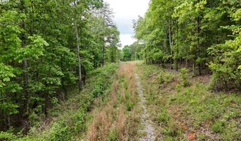 6020 Eaglewood Ln, Birchwood, TN 37308