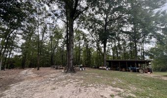 122 Whitehead Rd, Abbeville, AL 36310