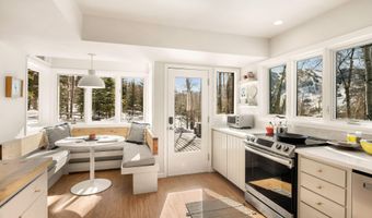 1036 Red Mountain Rd, Aspen, CO 81611