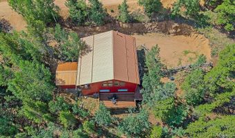 153 Wise Rd, Bailey, CO 80421