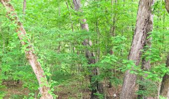 VAC Stony Gap Road, Albemarle, NC 28001