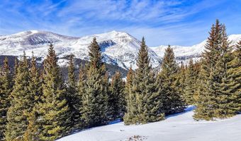 58969 Highway 9 Lot T08, Alma, CO 80420