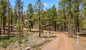 2 Co Rd N2147, Alpine, AZ 85920