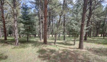 Lot 1311 San Pedro Dr, Angel Fire, NM 87710