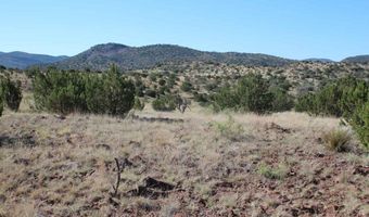 TR 111 Sierra La Rana, Alpine, TX 79830