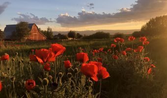 1745 CROOKED CREEK Rd, Alta, WY 83414