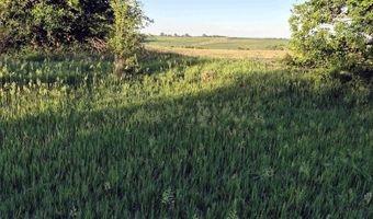 480 S Ave Ave, Alcester, SD 57001