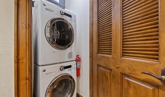 415 E Dean St. # 32 Wk 9, Aspen, CO 81611