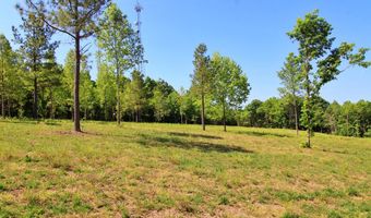 Tower Hill Rd, Appomattox, VA 24522