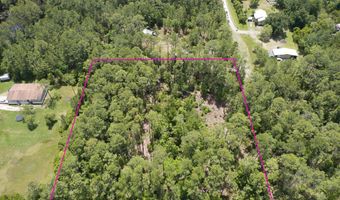 6115 Nutwood Ave, Bunnell, FL 32110
