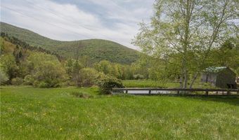 65 Armstrong Rd, Arkville, NY 12406