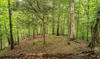 Wyldwood Road, Abingdon, VA 24211