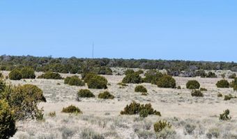 Lot 18 Skyview Ranch 18, Fence Lake, NM 87315