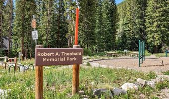 112 GREY SQUIRREL Ln, Blue River, CO 80424