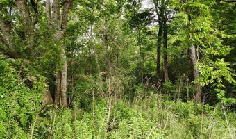 0 1ST Ave, Ashford, AL 36312