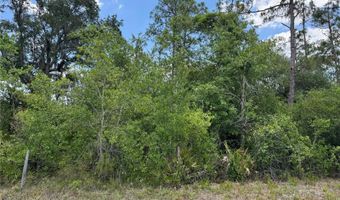 SW FLORIDA ROAD, Arcadia, FL 34266