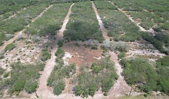 195 CR 1461 Lot 8, Alice, TX 78332