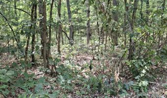 4370 Macdougall Dr, Allegan, MI 49010