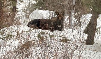 31 Basin Creek Rd, Boulder, MT 59631