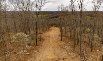 E Highway 14 G, Ava, MO 65608
