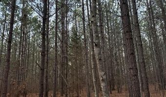 0- Lot 7 Piney Mountain Rd, Appomattox, VA 24522