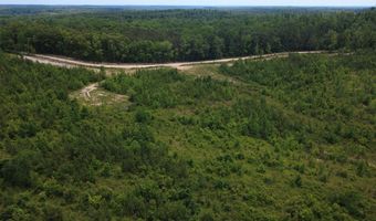 Tucker Road lot 11, Bath Springs, TN 38311