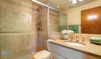 400 W Hopkins Ave 5, Aspen, CO 81611