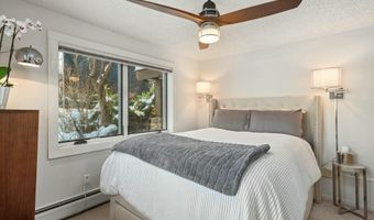 119 E Cooper Ave #5, Aspen, CO 81611