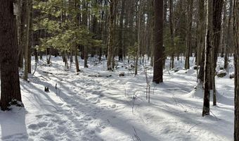 Lot 80-1 Currier Road, Candia, NH 03034