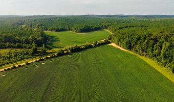1037 Cr 300, Big Creek, MS 38914