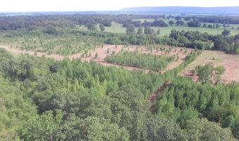 25 Acres 6th Pl, Atkins, AR 72823