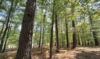 1 Champion Hill Rd, Bolton, MS 39041