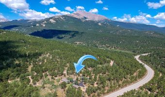338 County Road 84 W, Allenspark, CO 80510
