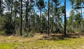5-6 Laird Lane FM 357, Apple Springs, TX 75926