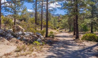 60833 Table Mountain Rd, Mountain Center, CA 92561