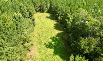 County Road 127, Banks, AL 36005