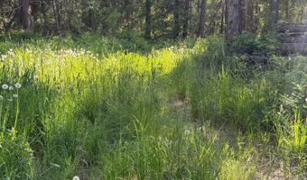 30625 N Pastime St, Athol, ID 83801