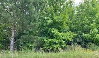 Daniels Lane lot 1-B, Bennettsville, SC 29512