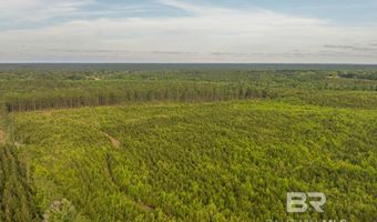 Flowers Road, Bay Minette, AL 36507