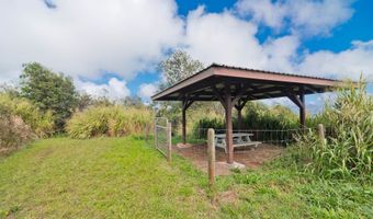 44-3342 KULA KAHIKO Rd, Honokaa, HI 96727