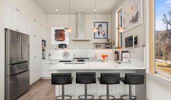 103 Willits Way 204, Basalt, CO 81621