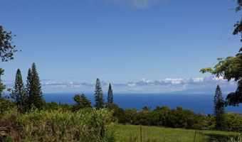 WAIOLU PL, Hawi, HI 96719