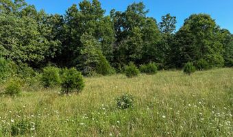 Co Rd 539, Ava, MO 65629
