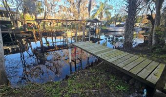 56290 CHERRY TREE Rd, Astor, FL 32102