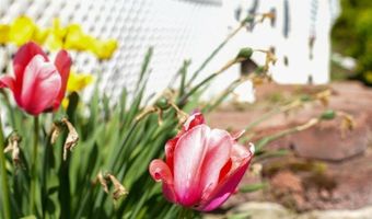 136 Lancaster Ave, Bangor, ME 04401