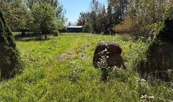 12790 Behning Rd, Alpena, MI 49766